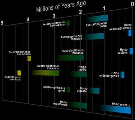 Hominid Timeline