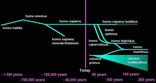 Human Timeline